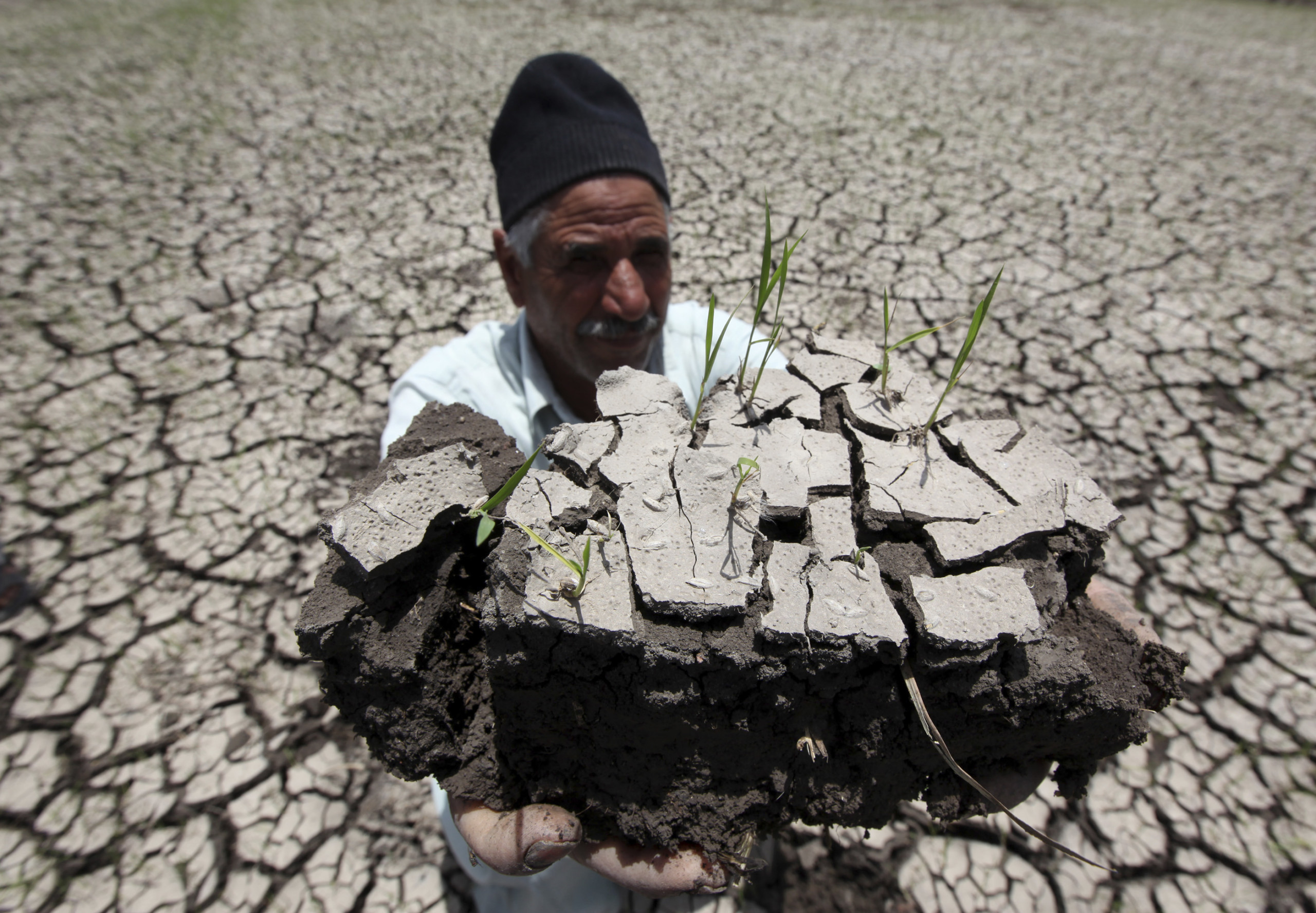 How Climate Change Impacts Mental Health, Understanding the  Israel-Palestine Conflict